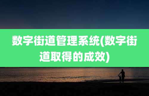 数字街道管理系统(数字街道取得的成效)