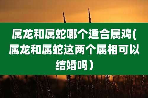 属龙和属蛇哪个适合属鸡(属龙和属蛇这两个属相可以结婚吗)