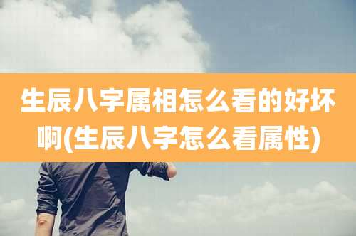 生辰八字属相怎么看的好坏啊(生辰八字怎么看属性)