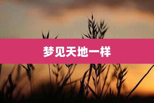 梦见天地一样