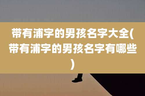 带有浦字的男孩名字大全(带有浦字的男孩名字有哪些)