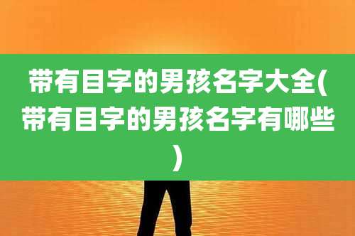 带有目字的男孩名字大全(带有目字的男孩名字有哪些)