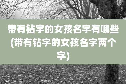 带有钻字的女孩名字有哪些(带有钻字的女孩名字两个字)