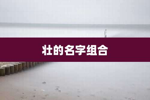 壮的名字组合