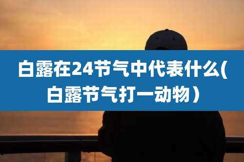 白露在24节气中代表什么(白露节气打一动物）