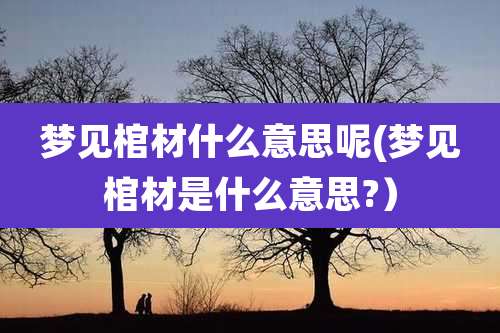 梦见棺材什么意思呢(梦见棺材是什么意思?)