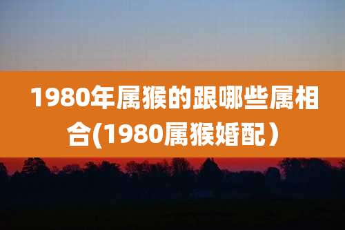 1980年属猴的跟哪些属相合(1980属猴婚配)
