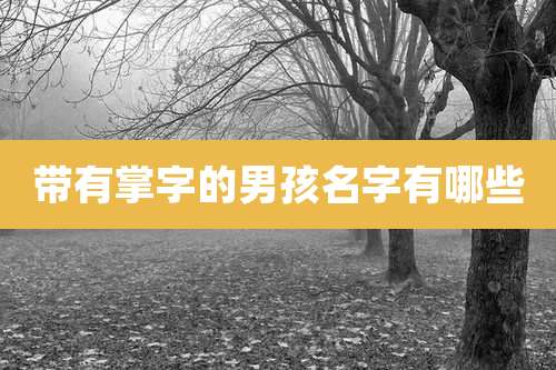 带有掌字的男孩名字有哪些