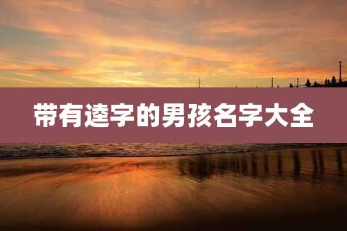 带有逵字的男孩名字大全