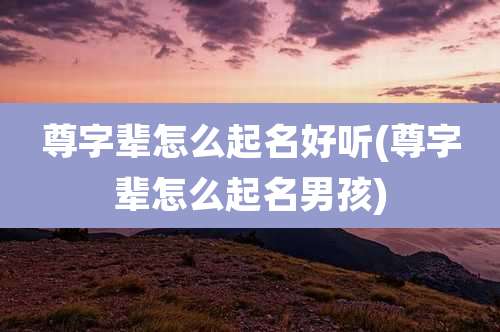 尊字辈怎么起名好听(尊字辈怎么起名男孩)