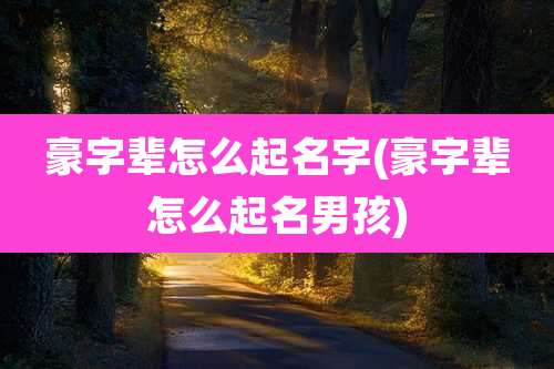 豪字辈怎么起名字(豪字辈怎么起名男孩)