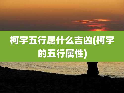 柯字五行属什么吉凶(柯字的五行属性)