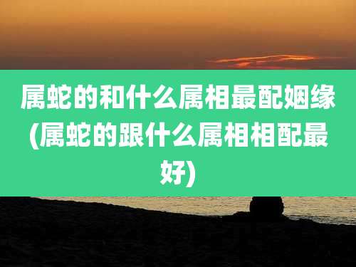 属蛇的和什么属相最配姻缘(属蛇的跟什么属相相配最好)