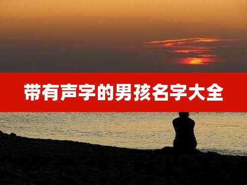 带有声字的男孩名字大全