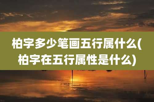 柏字多少笔画五行属什么(柏字在五行属性是什么)
