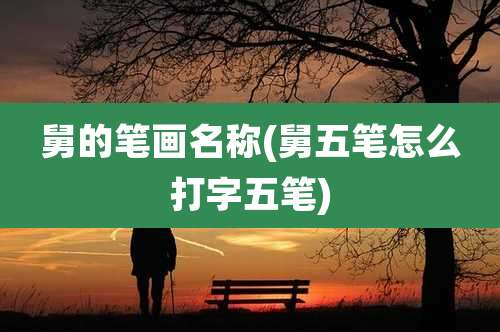 舅的笔画名称(舅五笔怎么打字五笔)