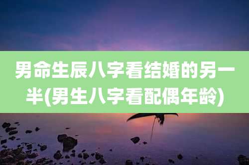 男命生辰八字看结婚的另一半(男生八字看配偶年龄)
