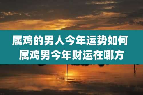 属鸡的男人今年运势如何 属鸡男今年财运在哪方
