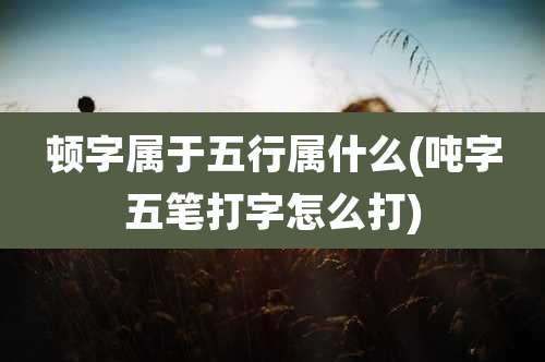 顿字属于五行属什么(吨字五笔打字怎么打)