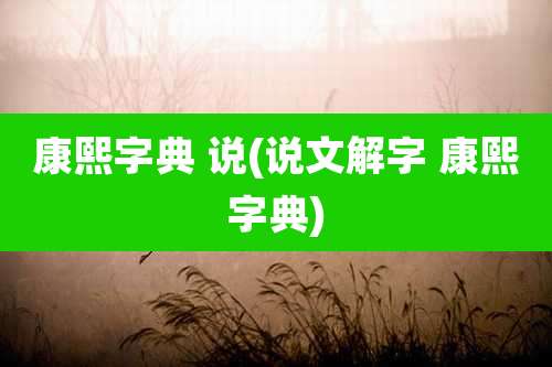 康熙字典 说(说文解字 康熙字典)