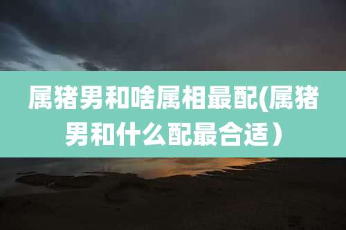 属猪男和啥属相最配(属猪男和什么配最合适)