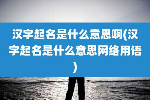 汉字起名是什么意思啊(汉字起名是什么意思网络用语)