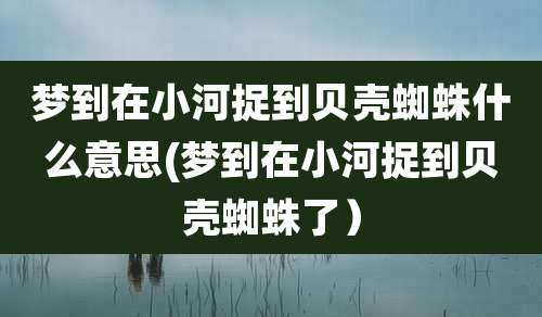 梦到在小河捉到贝壳蜘蛛什么意思(梦到在小河捉到贝壳蜘蛛了）