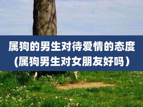 属狗的男生对待爱情的态度(属狗男生对女朋友好吗)