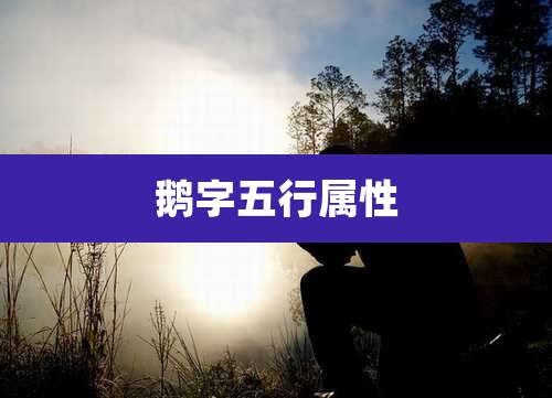 鹅字五行属性