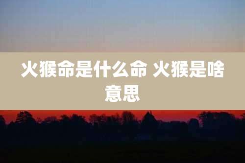 火猴命是什么命 火猴是啥意思