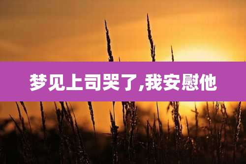 梦见上司哭了,我安慰他