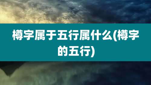 樽字属于五行属什么(樽字的五行)