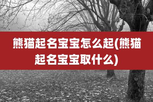 熊猫起名宝宝怎么起(熊猫起名宝宝取什么)