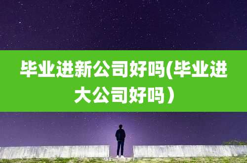 毕业进新公司好吗(毕业进大公司好吗)