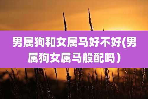 男属狗和女属马好不好(男属狗女属马般配吗)