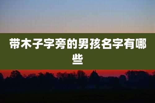 带木子字旁的男孩名字有哪些