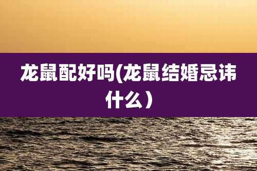 龙鼠配好吗(龙鼠结婚忌讳什么)