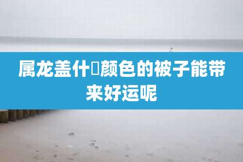 属龙盖什麼颜色的被子能带来好运呢