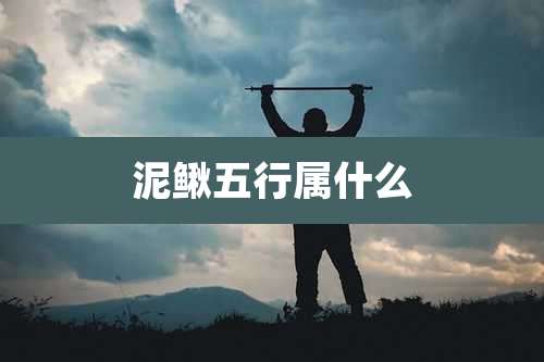 泥鳅五行属什么