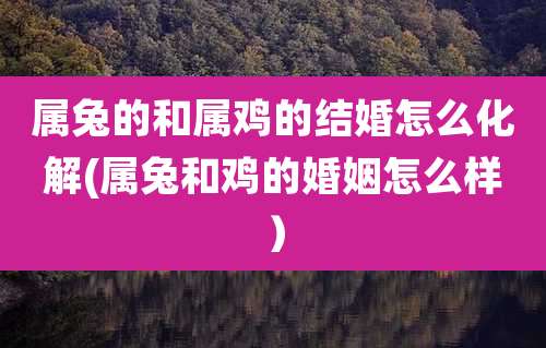 属兔的和属鸡的结婚怎么化解(属兔和鸡的婚姻怎么样）