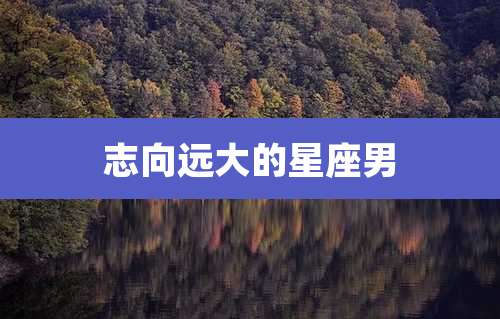 志向远大的星座男