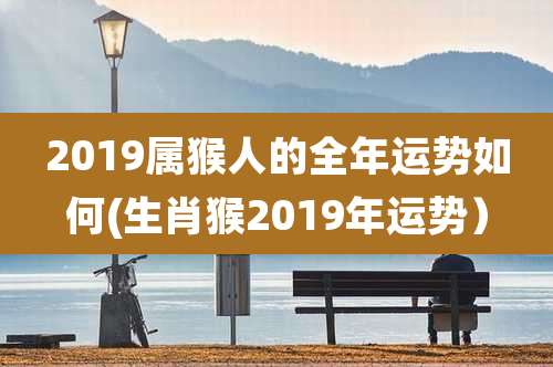 2019属猴人的全年运势如何(生肖猴2019年运势）