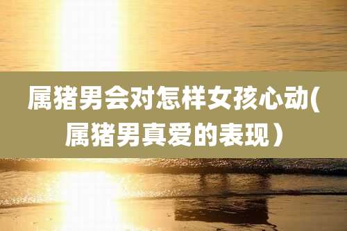 属猪男会对怎样女孩心动(属猪男真爱的表现)