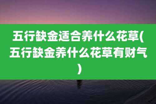 五行缺金适合养什么花草(五行缺金养什么花草有财气)
