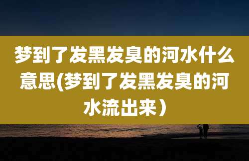梦到了发黑发臭的河水什么意思(梦到了发黑发臭的河水流出来)