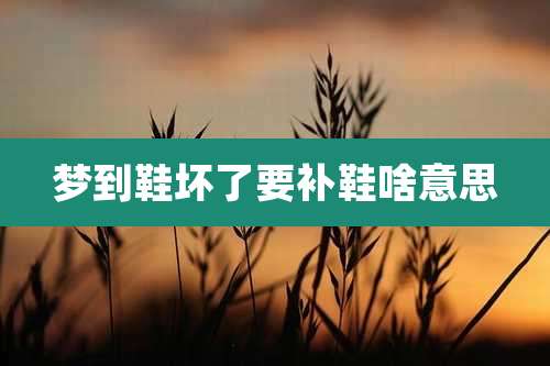 梦到鞋坏了要补鞋啥意思