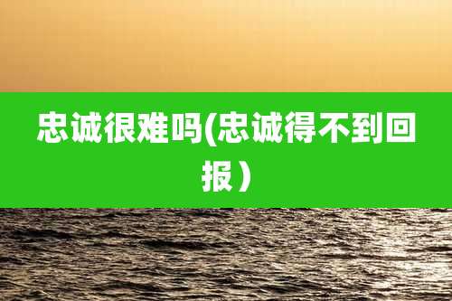 忠诚很难吗(忠诚得不到回报)