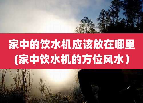 家中的饮水机应该放在哪里(家中饮水机的方位风水)