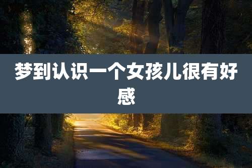 梦到认识一个女孩儿很有好感