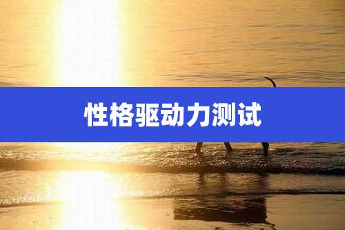 性格驱动力测试